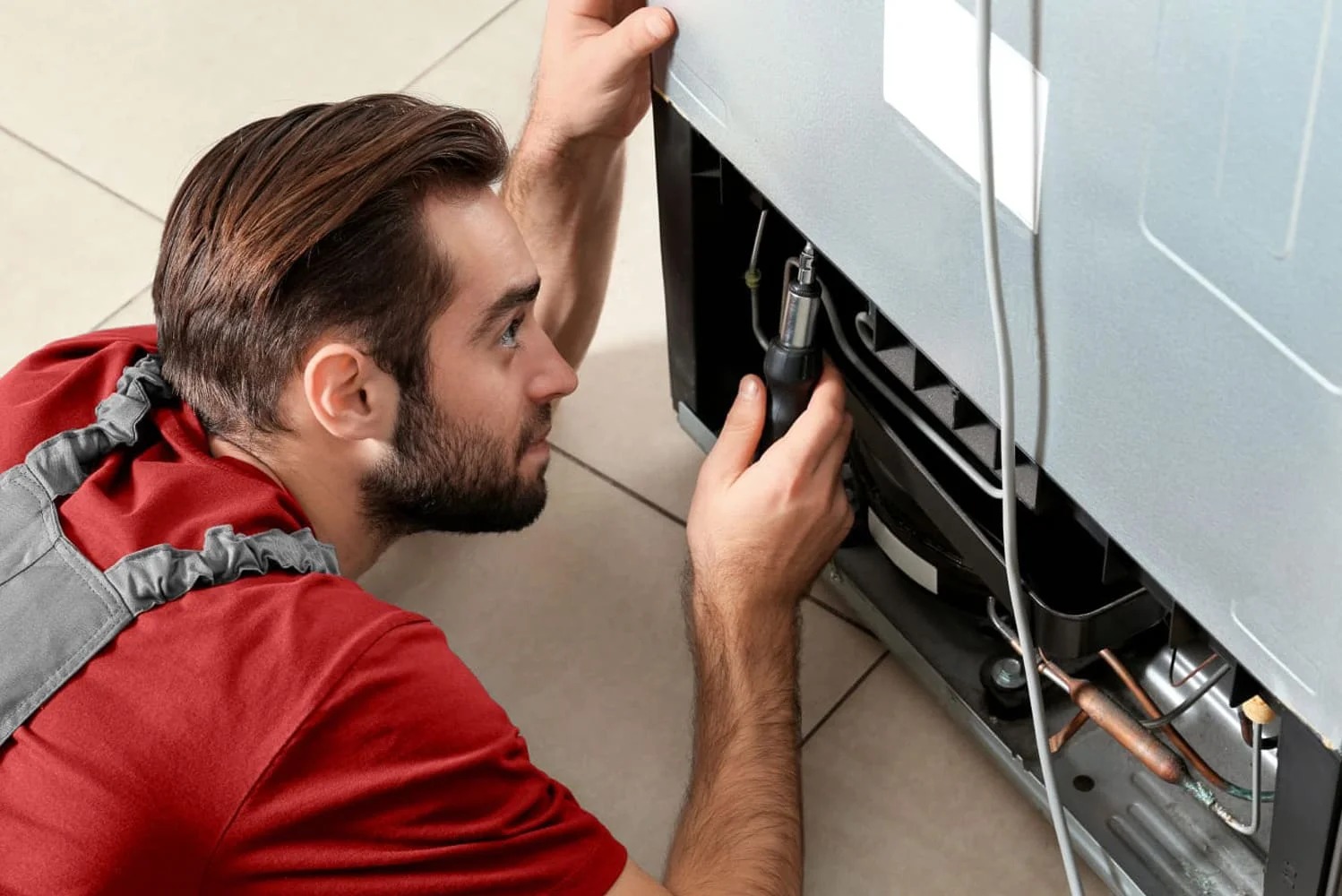 wp-x-image-banner-3-1024x683-2-11zon